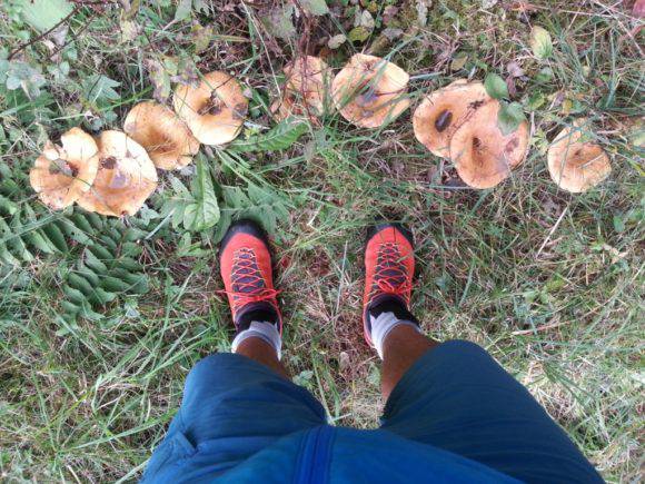 Scarponcino low LA SPORTIVA TX4