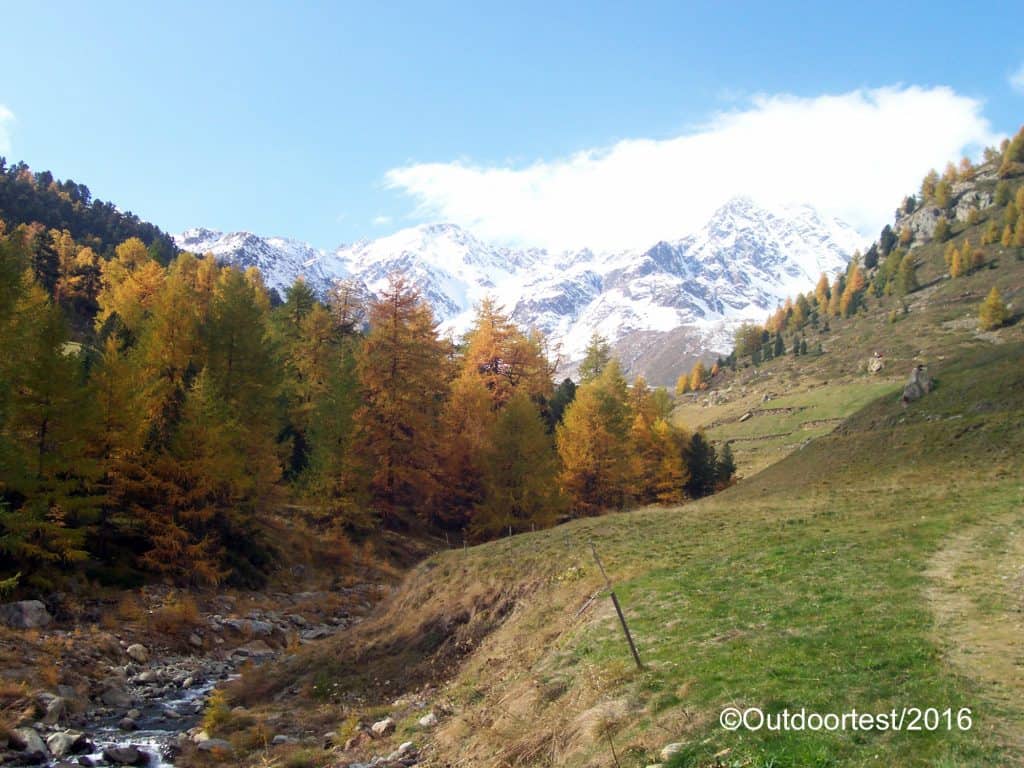 Contrasto di colori in autunno in Val Senales