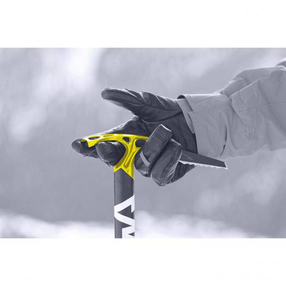 Salewa picozza Alpine X