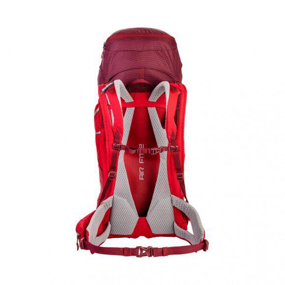 Salewa Alp Trainer 35+5 back