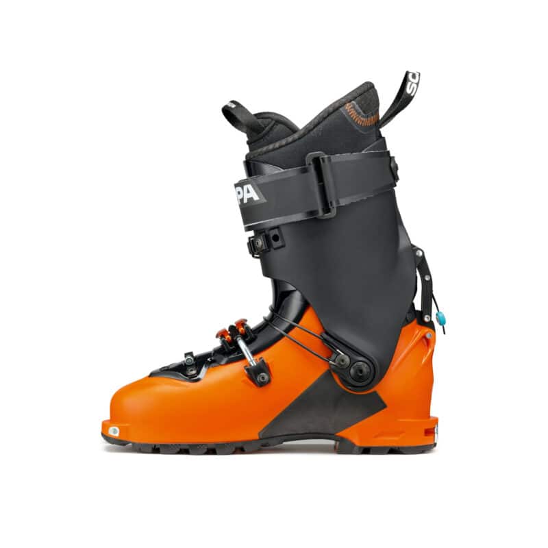 Scarpa Maestrale 2024