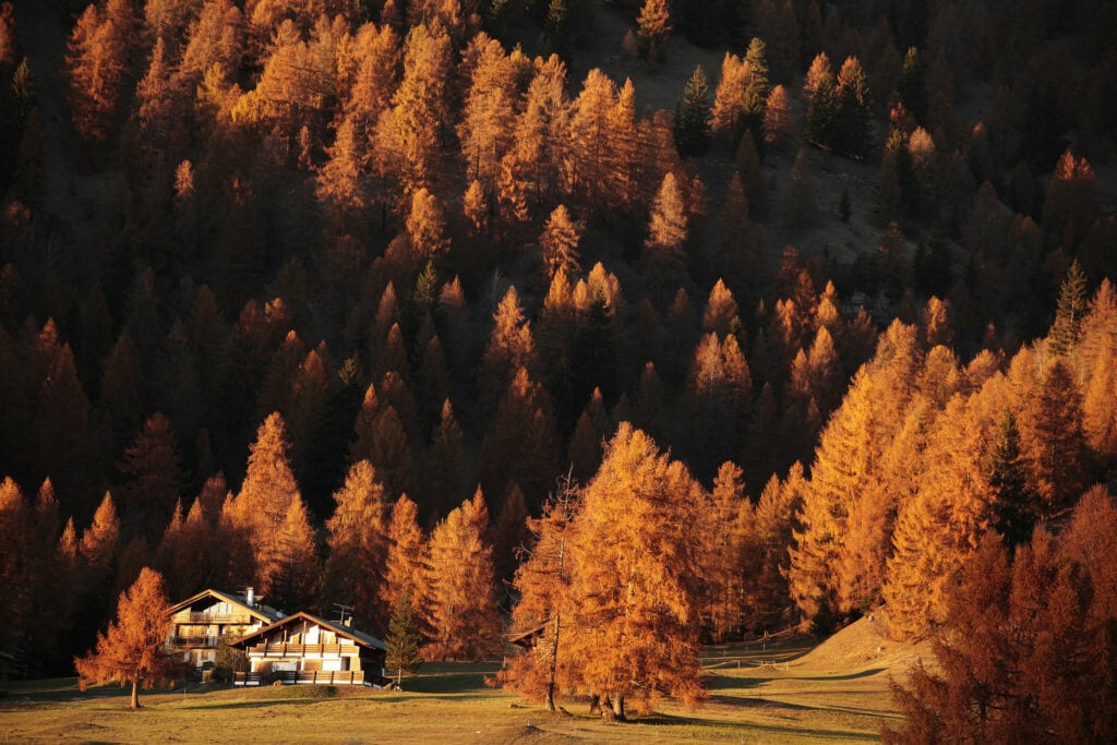 Autunno Val di Fiemme